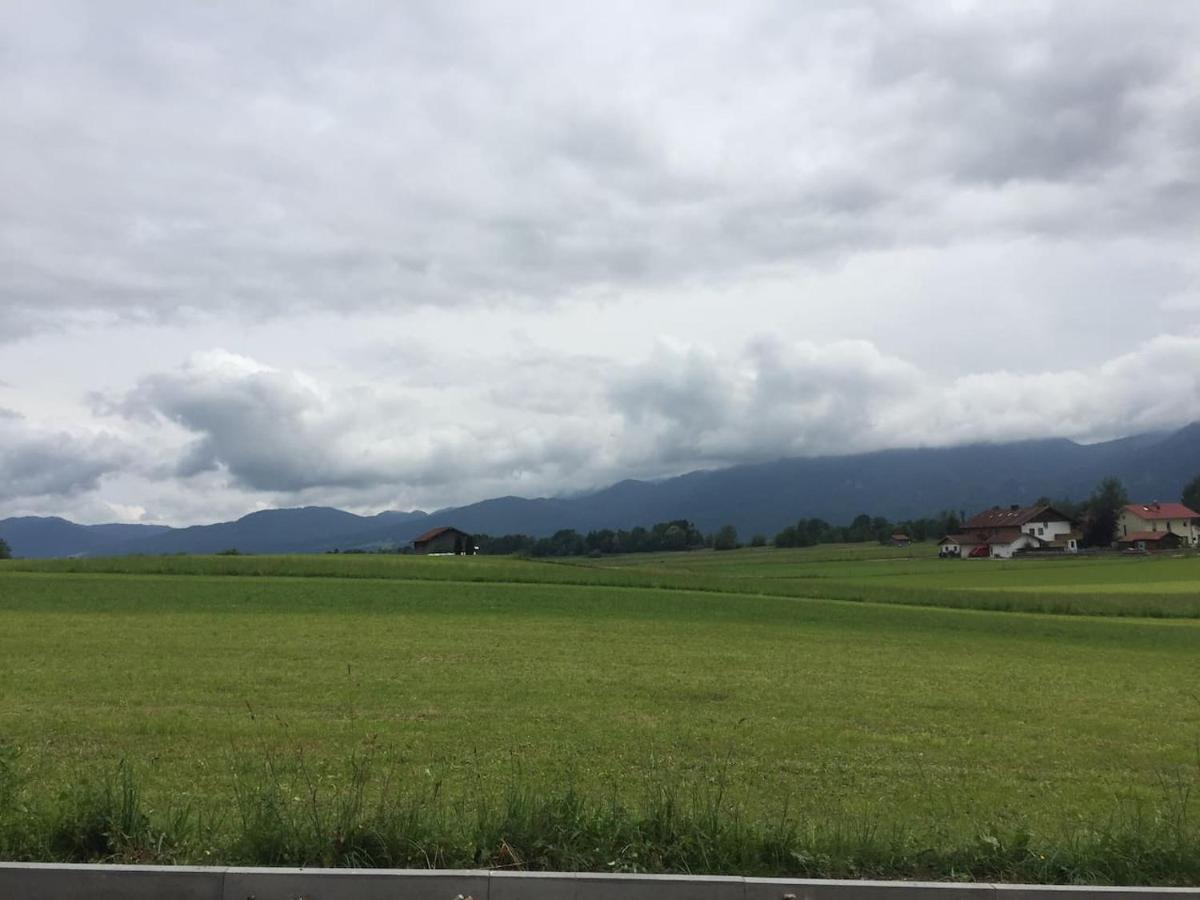 Studio Mit Alpenblick Grossweil エクステリア 写真